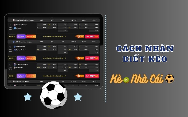 Keonhacai Kiwi - Tỷ Lệ Kèo Nhà Cái 5 Mới Nhất | Keo Nha Cai 5 Cách nhận biết biến động kèo chính xác