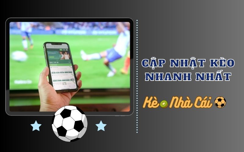 Keonhacai Kiwi - Tỷ Lệ Kèo Nhà Cái 5 Mới Nhất | Keo Nha Cai 3 Cập nhật nhanh, bám sát từng biến động của thị trường