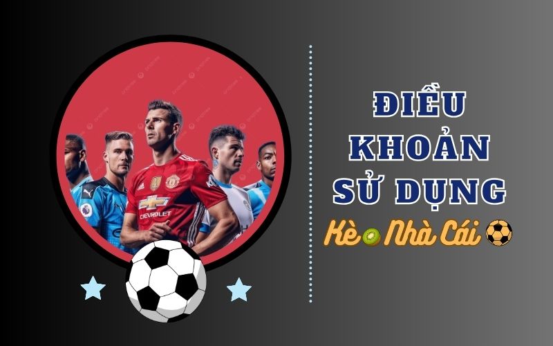 Phạm vi và tính chất dịch vụ