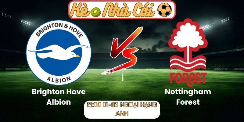 Soi kèo trận đấu Brighton Hove Albion vs Nottingham Forest (21:00 01-03, Ngoại hạng Anh) 3 Soi kèo trận đấu Brighton Hove Albion vs Nottingham Forest (21:00 01-03, Ngoại hạng Anh)