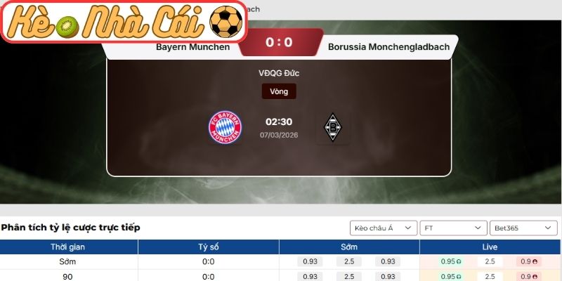 Soi kèo trận đấu Bayern Munich vs Monchengladbach (02:30 07-03, Bundesliga): Hùm xám khẳng định vị thế 3 Kèo châu Á trận Bayern Munich vs Monchengladbach (02:30 07-03, Bundesliga)